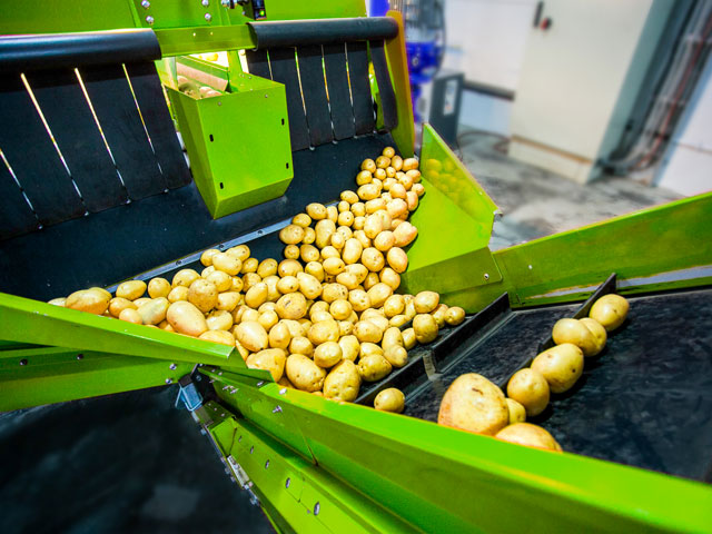 Bandas de PVC Bandas de PVC Ecuador