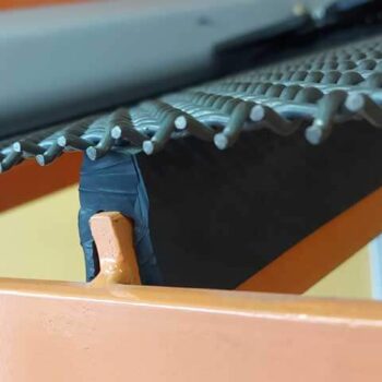 caucho zarandas Ecuador Quito